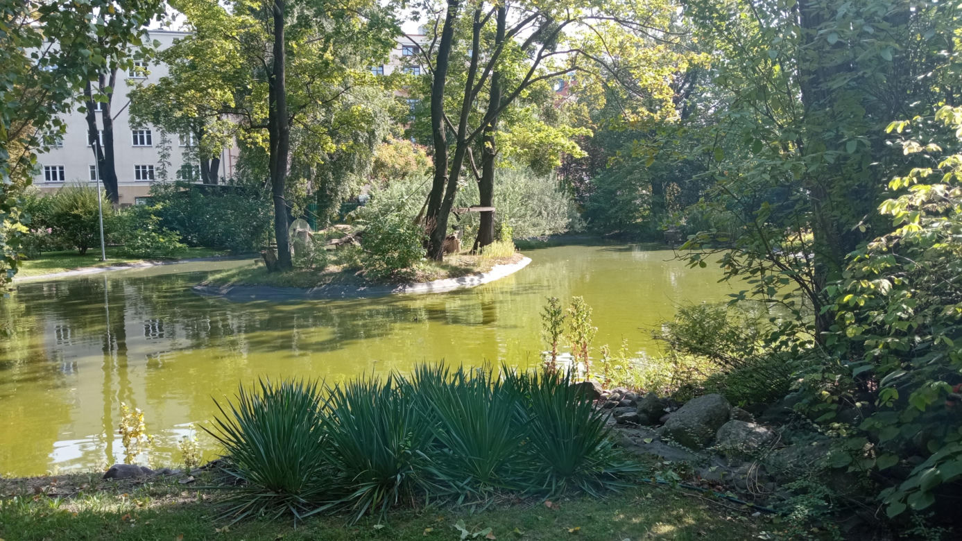 Stare ZOO w Poznaniu. Idealne miejsce na rodzinne spacery w sercu miasta 