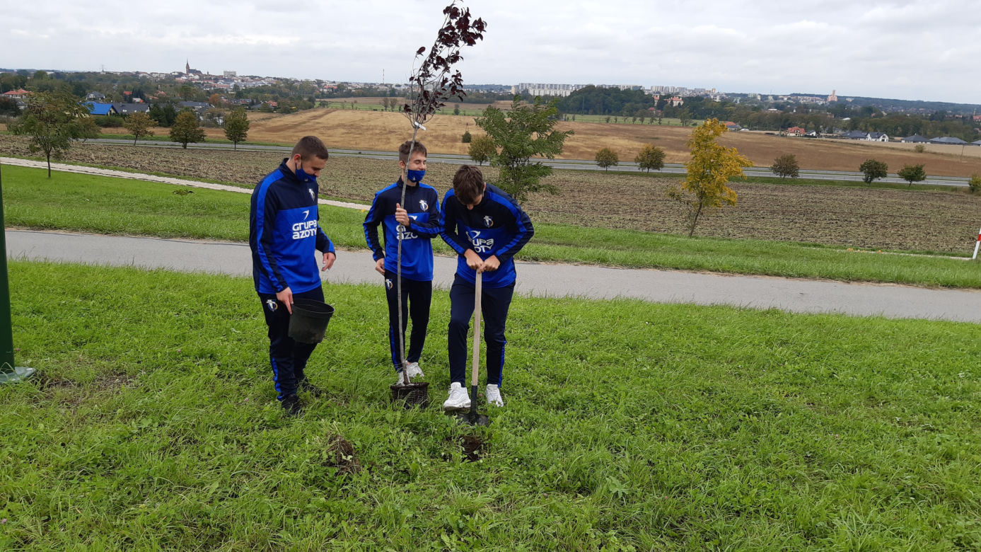 „W zielone gramy” - akcja sadzenia roślin