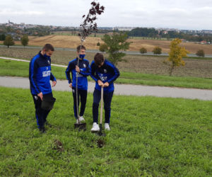 „W zielone gramy” - akcja sadzenia roślin