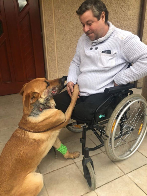 Chciał ZABIĆ niewinnego psa, więc do niego STRZELAŁ! Poszukuje go policja [WIDEO, ZDJĘCIA]