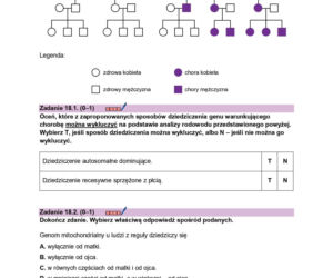 Arkusz maturalny CKE - biologia rozszerzona 2026
