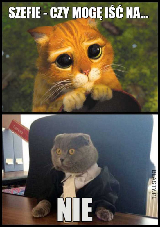 Urlop: memy