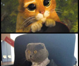 Urlop: memy