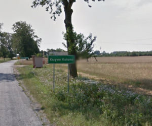 Krzywe Kolano