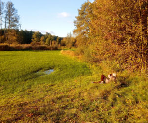 Bolimowski Park Krajobrazowy