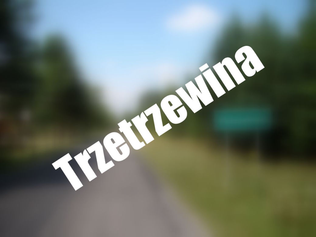 Trzetrzewina