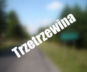 Trzetrzewina
