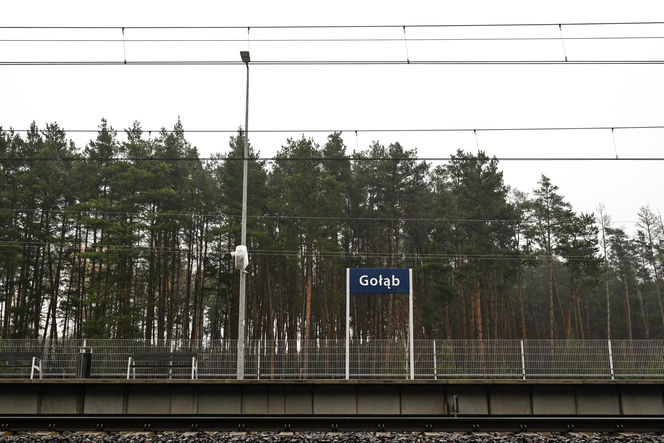 PILNE! Tusk ujawnia: dwóch Ukraińców współpracujących z Rosją stało za dywersją na kolei. „Celem była katastrofa”