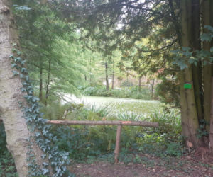 Arboretum Bolestraszyce