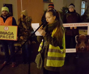 Ekolodzy boją się o dziki. Wyszli na ulice Bydgoszczy, by zaprotestować