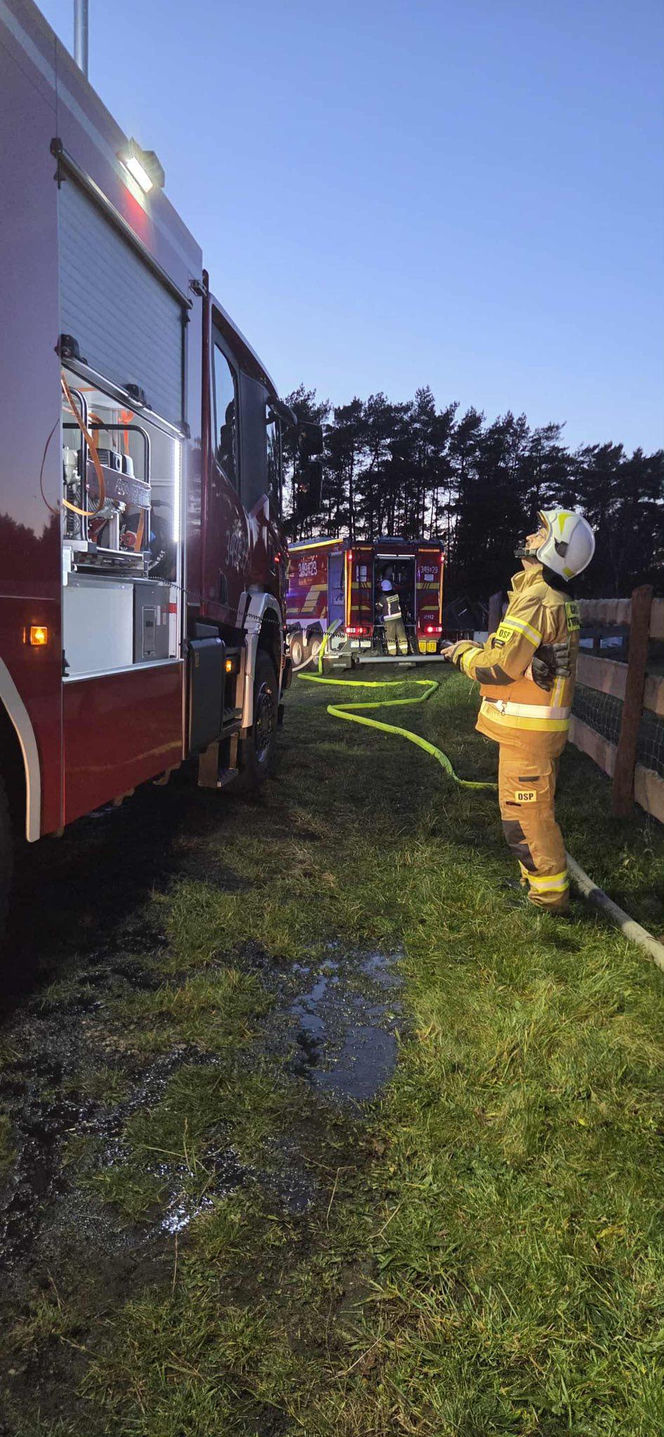 Ogień zmienił schronisko w zgliszcza! Straty są ogromne. „Jesteśmy zdruzgotani”