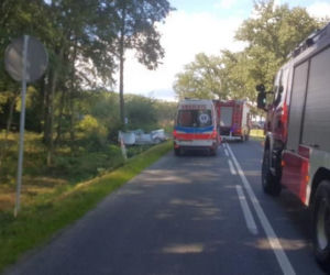 Pijany kierowca przyrżnął kabrioletem w drzewo