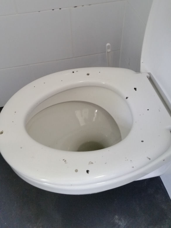 Niszczymy publiczne szalety na potęgę. Torunianie muszą zadowolić się „ToiToiami” [FOTO]