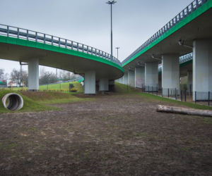 Plac zabaw dla psów