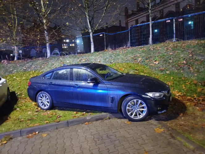 Miszczowie parkowania w Katowicach. Ich nikt tego nie nauczył