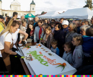 Dożynki Wojewódzkie w Tykocinie. Zaśpiewał Janusz Laskowski i zespół Focus