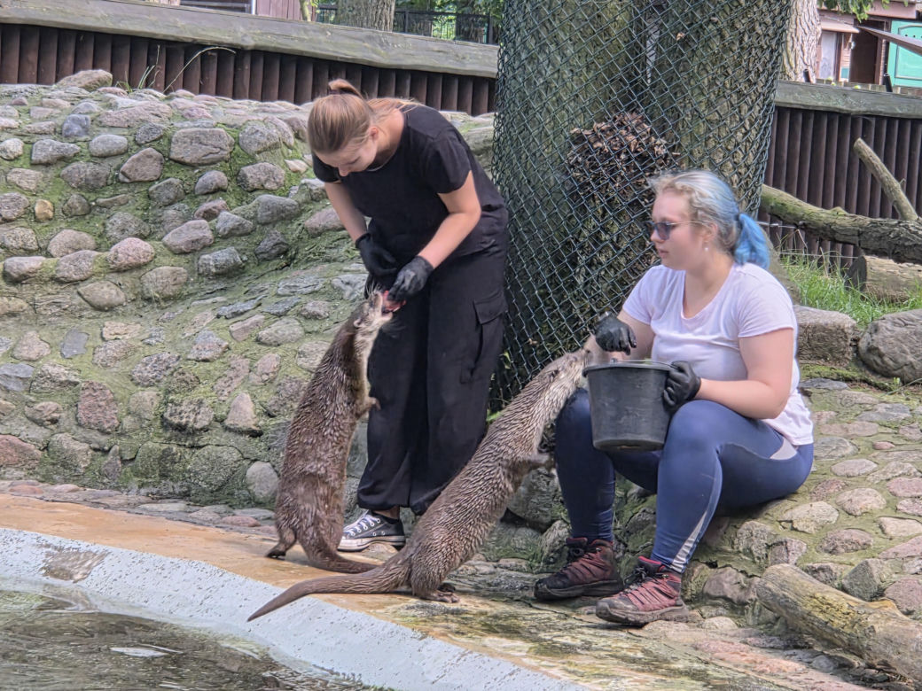 Pokazowe karmienie w myślęcińskim zoo to prawdziwy hit! Sprawdziliśmy to na miejscu