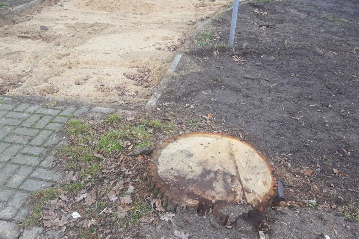 Tu na razie jest... Trwa modernizacja dwóch parków miejskich w Lesznie 