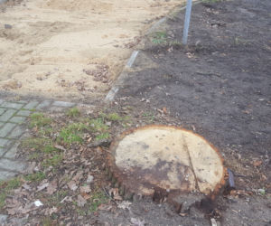 Tu na razie jest... Trwa modernizacja dwóch parków miejskich w Lesznie 