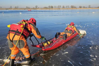 Makabryczny widok nad jeziorem! 50 martwych łabędzi. Wiadomo, co je zabiło