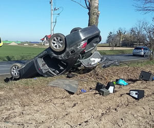 Kierowca BMW uderzył w drzewo w gminie Lubicz