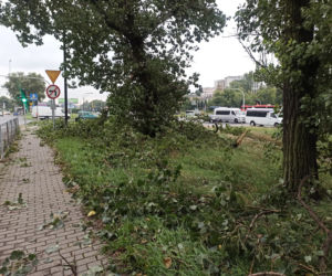 Przez Lublin przeszła potężna nawałnica. Trwa usuwanie jej skutków. 