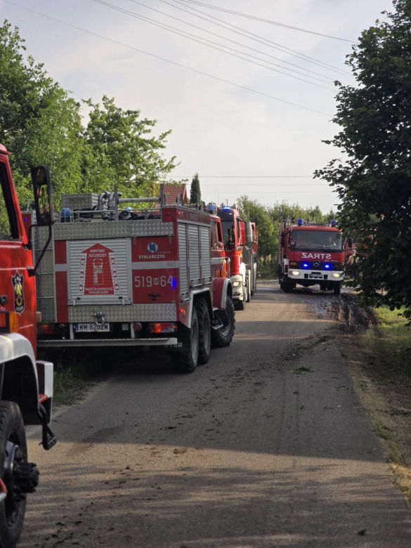 Pożar traw w powiecie mińskim spowodował wstrzymanie ruchu pociągów