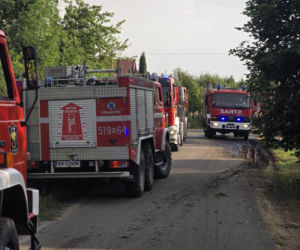Pożar traw w powiecie mińskim spowodował wstrzymanie ruchu pociągów