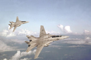 Koniec legendy F-14 Tomcat w Iranie? Zdjęcia satelitarne potwierdzają zniszczenie „perskich kotów”