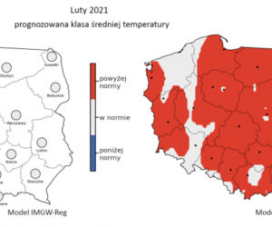 Jaka będzie zima 2020/2021? Czy spadnie śnieg? Prognozy są miażdżące. WAŻNY komunikat [PROGNOZA POGODY, MAPY, MIASTA, WOJEWÓDZTWA]