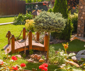 Drzewa w małym ogrodzie zrobią wielki efekt!