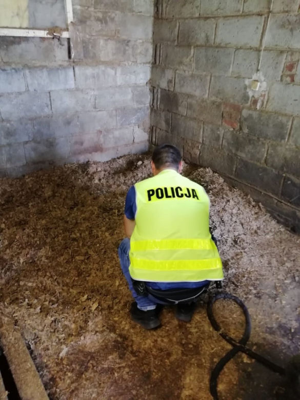 Łódzkie. Policjanci zlikwidowali nielegalną wytwórnię! OGROMNA wartość skonfiskowanego towaru