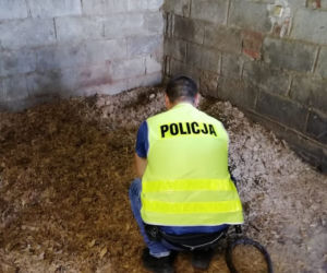 Łódzkie. Policjanci zlikwidowali nielegalną wytwórnię! OGROMNA wartość skonfiskowanego towaru