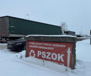 Choinka po świętach nie musi trafić na śmietnik. Lublin daje drzewkom drugie życie