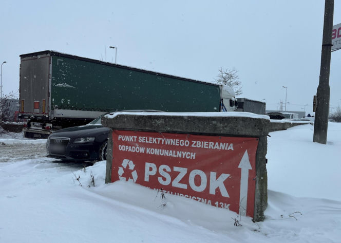 Choinka po świętach nie musi trafić na śmietnik. Lublin daje drzewkom drugie życie