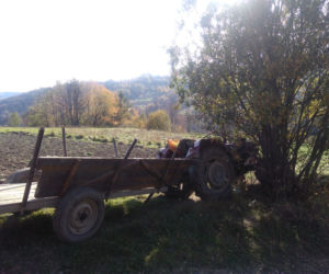 Wypadł z ciągnika, przejechała go przyczepa. Wypadek w gminie Tokarnia [ZDJĘCIA]