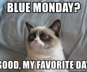 MEMY na Blue Monday