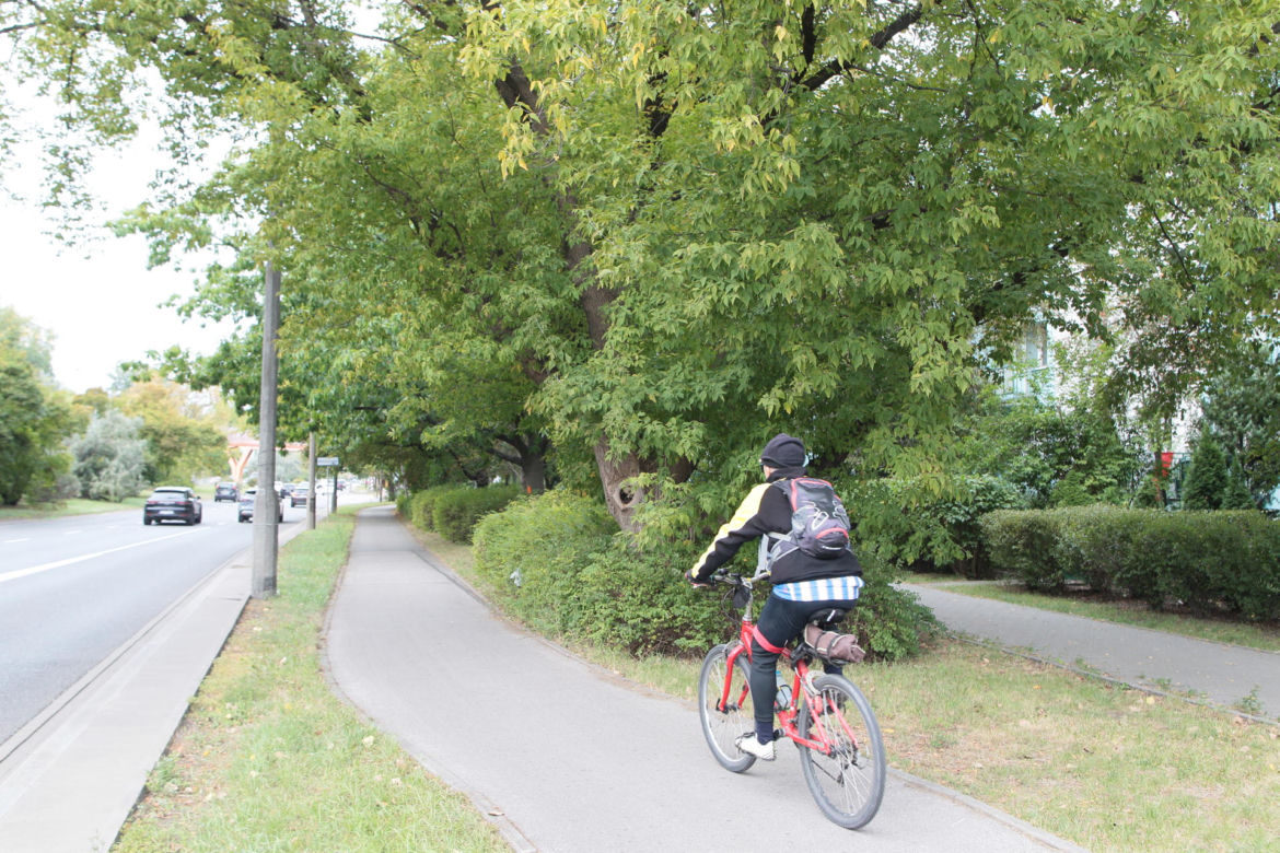 Tramwajarze wytną setki drzew pod budowę trasy tramwajowej do Wilanowa