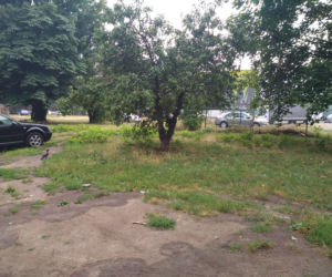 Wzdłuż parkingu Centrum Handlowego Arena wyrosną drzewa