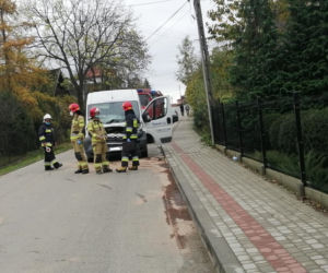 Mokra Wieś. Krowa sprawczynią stłuczki! Właścicielka zwierzęcia ukarana mandatem