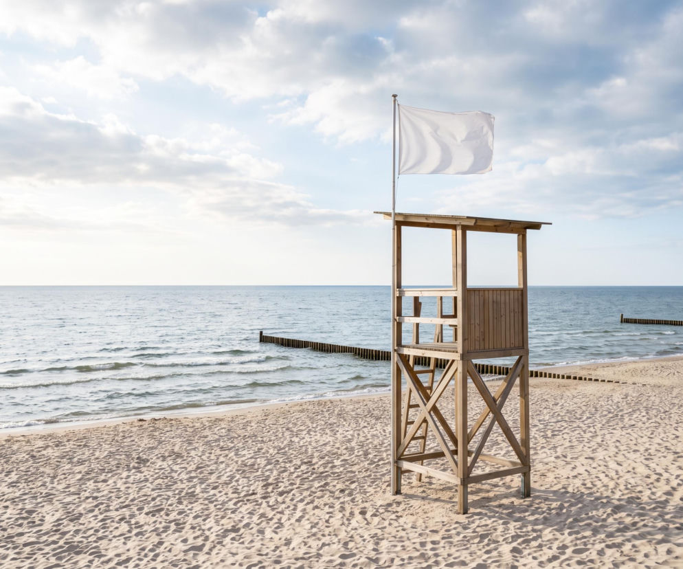 Sinice Sopot. Czy w Sopocie można się kąpać 27.08? Flaga, warunki pogodowe
