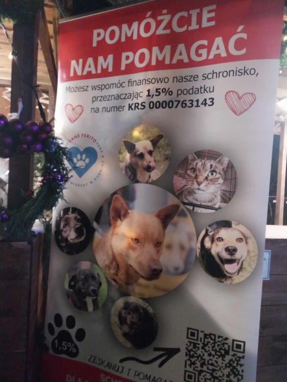 Jarmark Bożonarodzeniowy w Starachowicach 13,14 i 15 grudnia