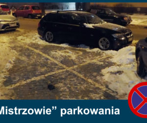 Mistrzowie parkowania. Tak kierowcy parkują w Warszawie