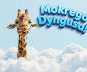 Kartki na Lany Poniedziałek