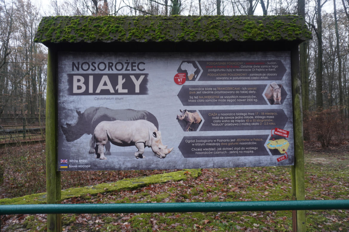 Zoo w Poznaniu zimą