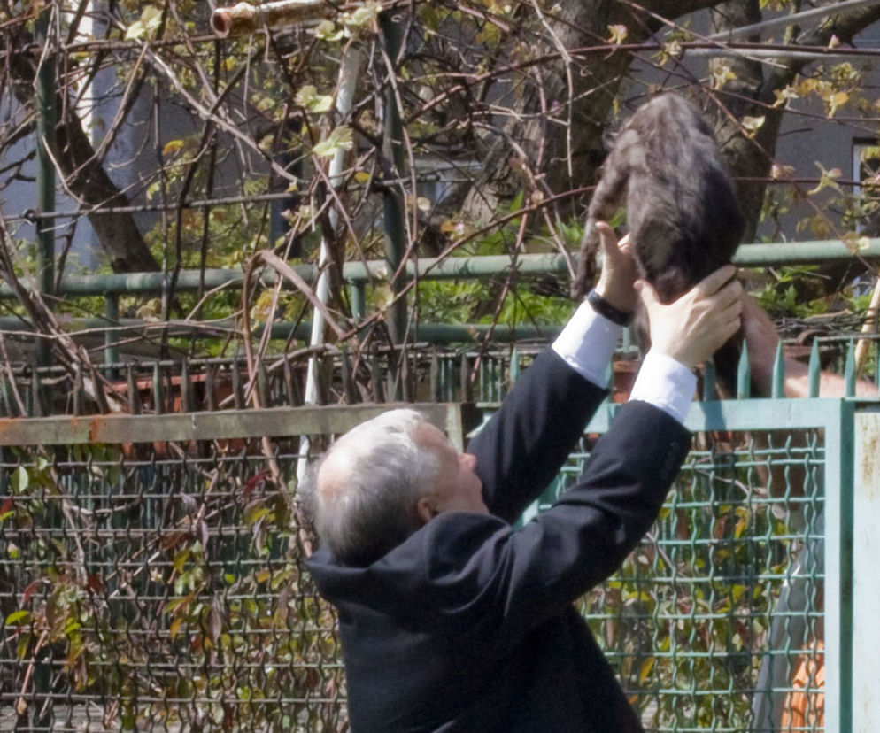 Jarosław Kaczyński i Donald Tusk, jak pies z kotem