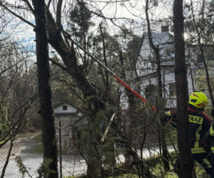 Interwencje Strażaków przy likwidacji szkód spowodowanych przez gwałtowny wiatr i burze