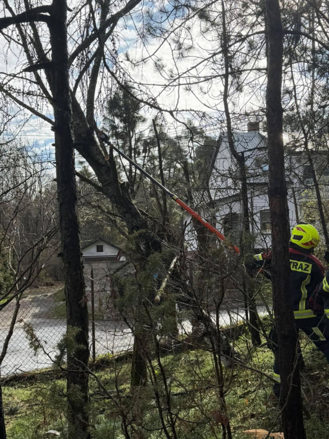 Interwencje Strażaków przy likwidacji szkód spowodowanych przez gwałtowny wiatr i burze