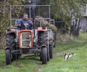 Rolnicy. Podlasie. Jak wygląda gospodarstwo Gienka i Andrzeja z Plutycz?