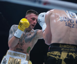 Kalinowski - Stępień